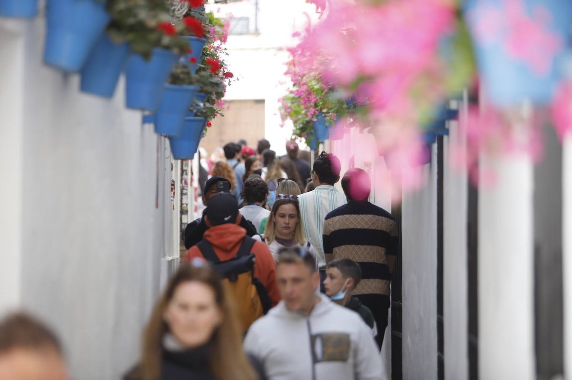 El ambiente turístico el Miércoles Santo en Córdoba, en imágenes
