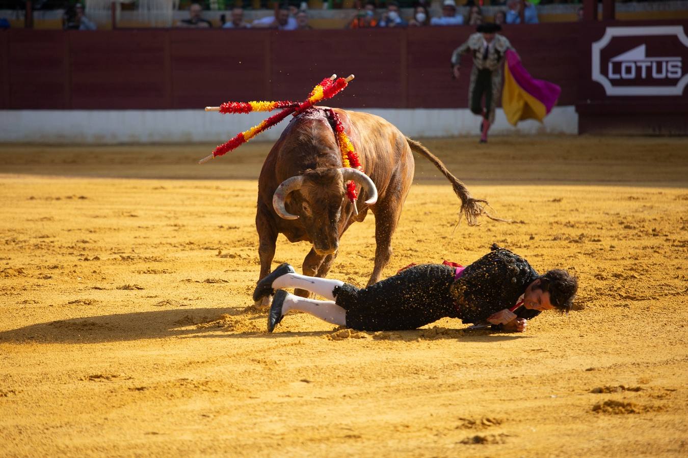 Cogida a Morante de la Puebla en la plaza de toros de La línea de la Concepción. SERGIO RODRÍGUEZ