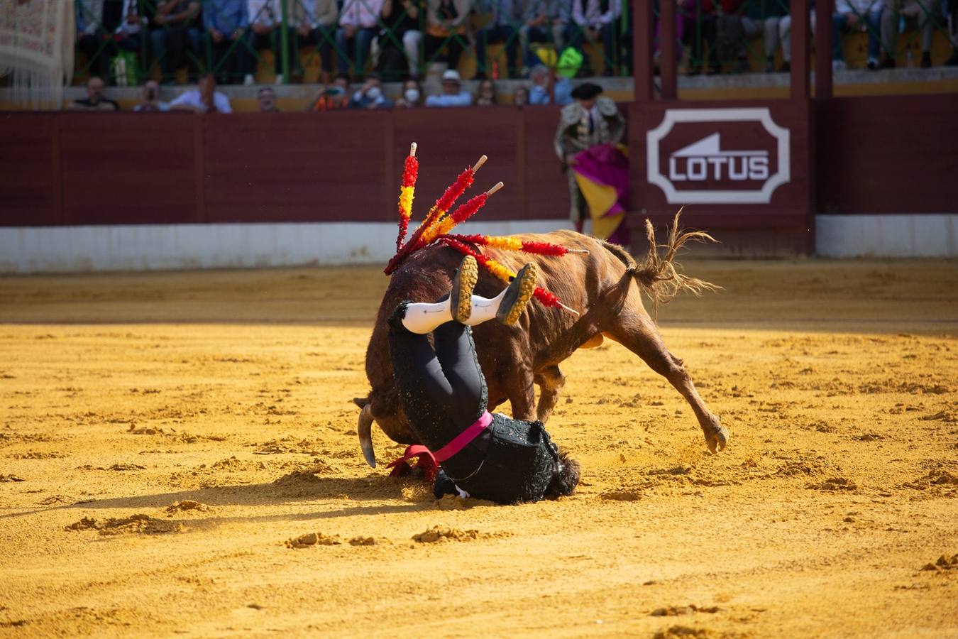 Cogida a Morante de la Puebla en la plaza de toros de La línea de la Concepción. SERGIO RODRÍGUEZ