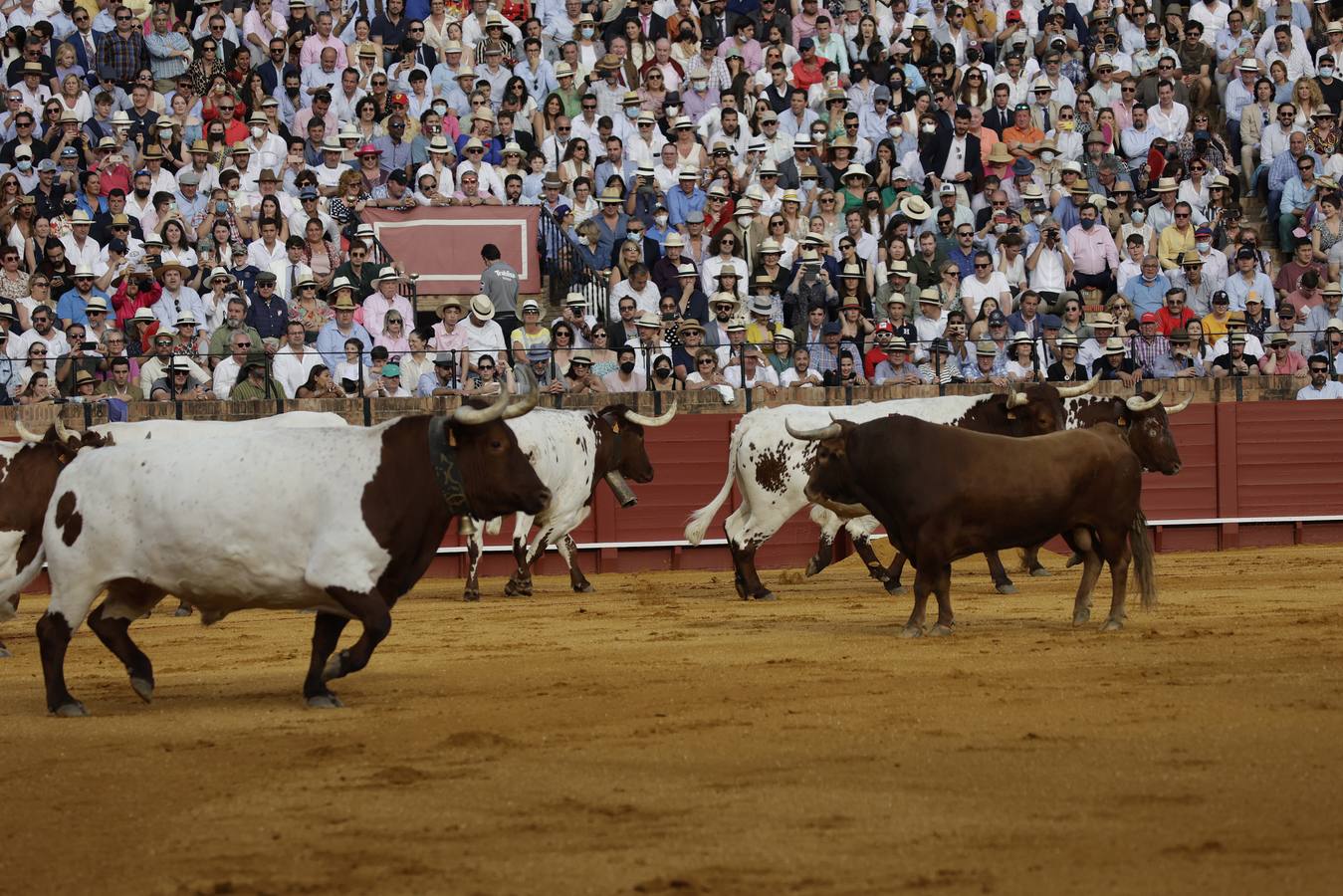 Corrida del Domingo de Resurrección en Sevilla con Morante de la Puebla, Juan Ortega y Pablo Aguado. JUAN FLORES