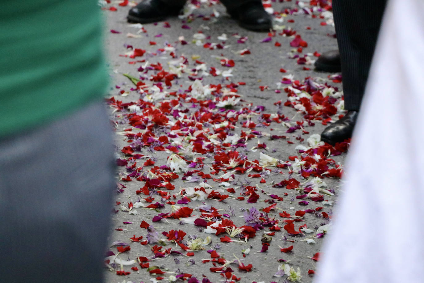 La multitudinaria romería de Bajada de la Virgen de Araceli a Lucena, en imágenes