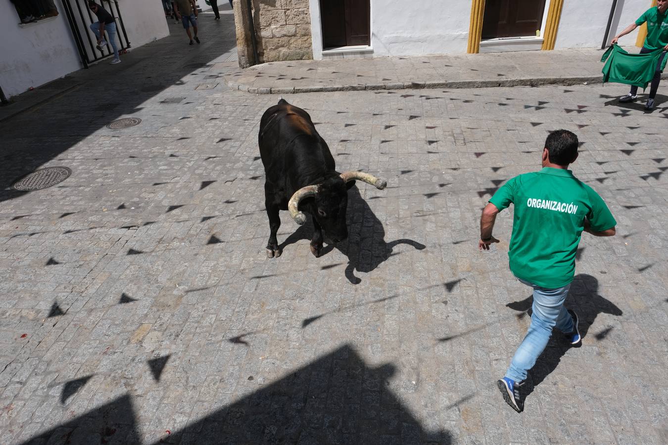 Fotos: Así ha sido la fiesta del Toro Embolao en Vejer