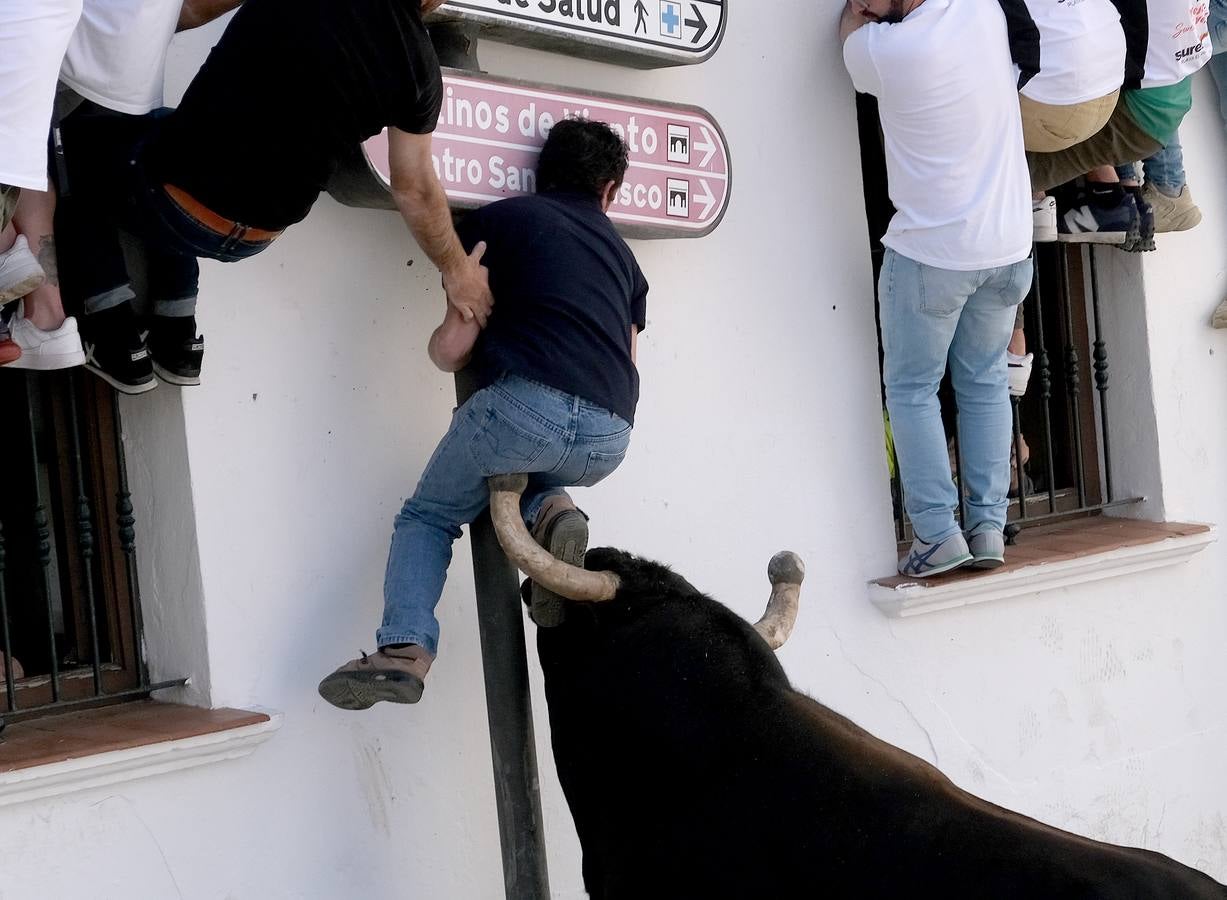 Fotos: Así ha sido la fiesta del Toro Embolao en Vejer