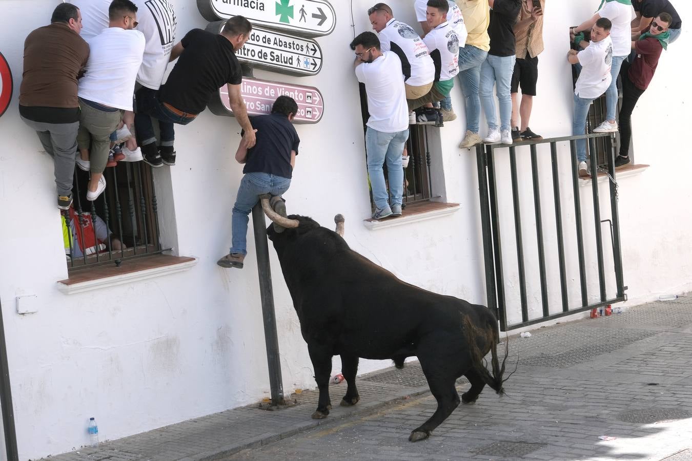 Fotos: Así ha sido la fiesta del Toro Embolao en Vejer