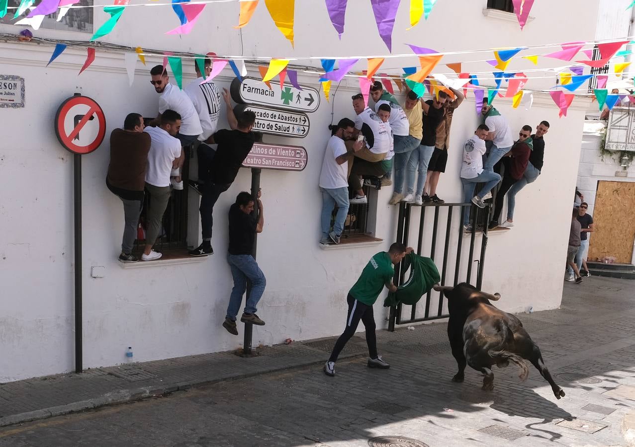 Fotos: Así ha sido la fiesta del Toro Embolao en Vejer