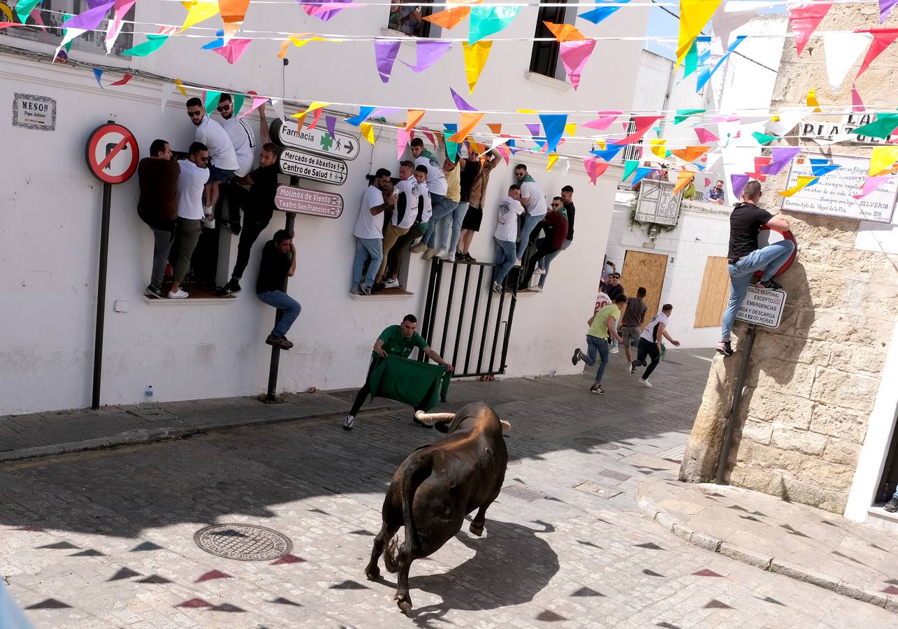 Fotos: Así ha sido la fiesta del Toro Embolao en Vejer