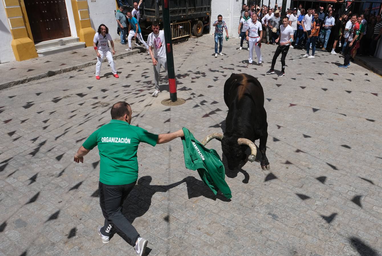 Fotos: Así ha sido la fiesta del Toro Embolao en Vejer