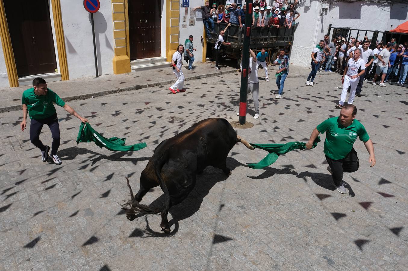 Fotos: Así ha sido la fiesta del Toro Embolao en Vejer