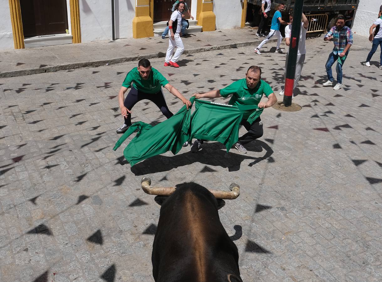 Fotos: Así ha sido la fiesta del Toro Embolao en Vejer