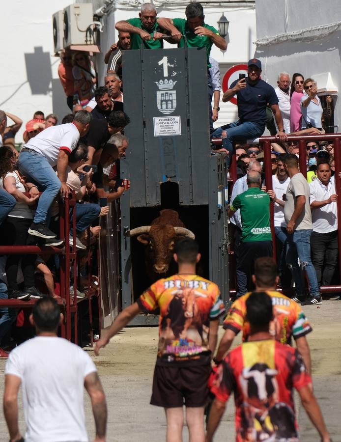 Fotos: las imágenes del Toro del Aleluya en Arcos de la Frontera