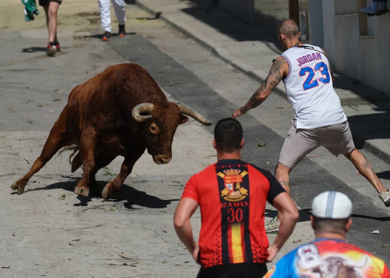 Fotos: las imágenes del Toro del Aleluya en Arcos de la Frontera