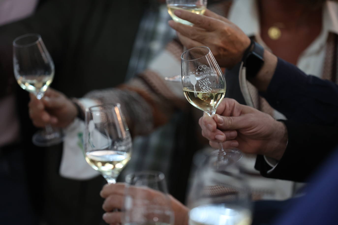 La inauguración oficial de la Cata del Vino en Córdoba, en imágenes