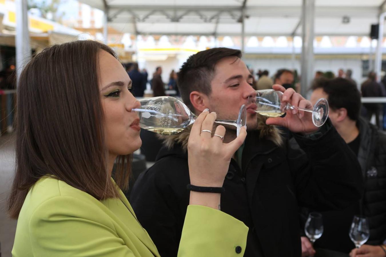 La apertura al público de la Cata del Vino de Córdoba, en imagenes