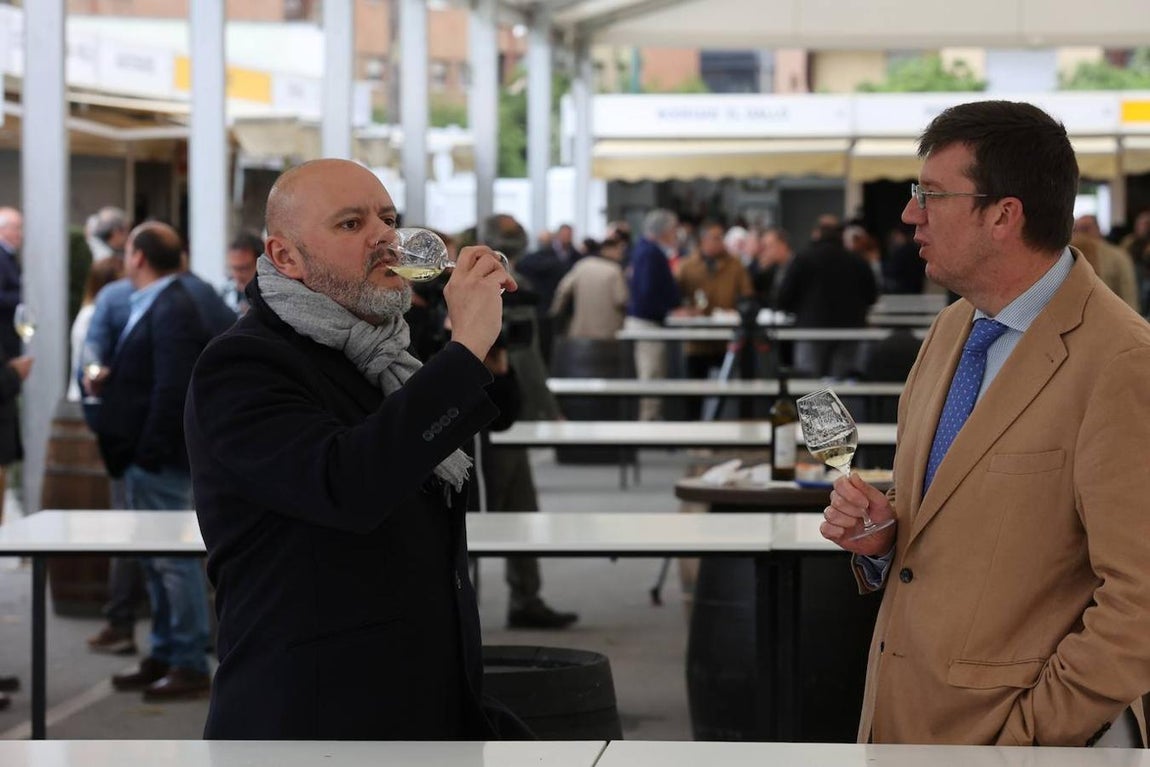 La apertura al público de la Cata del Vino de Córdoba, en imagenes