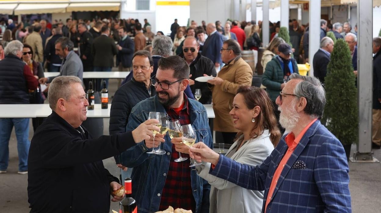 La apertura al público de la Cata del Vino de Córdoba, en imagenes