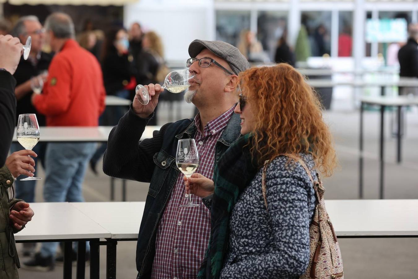 La apertura al público de la Cata del Vino de Córdoba, en imagenes