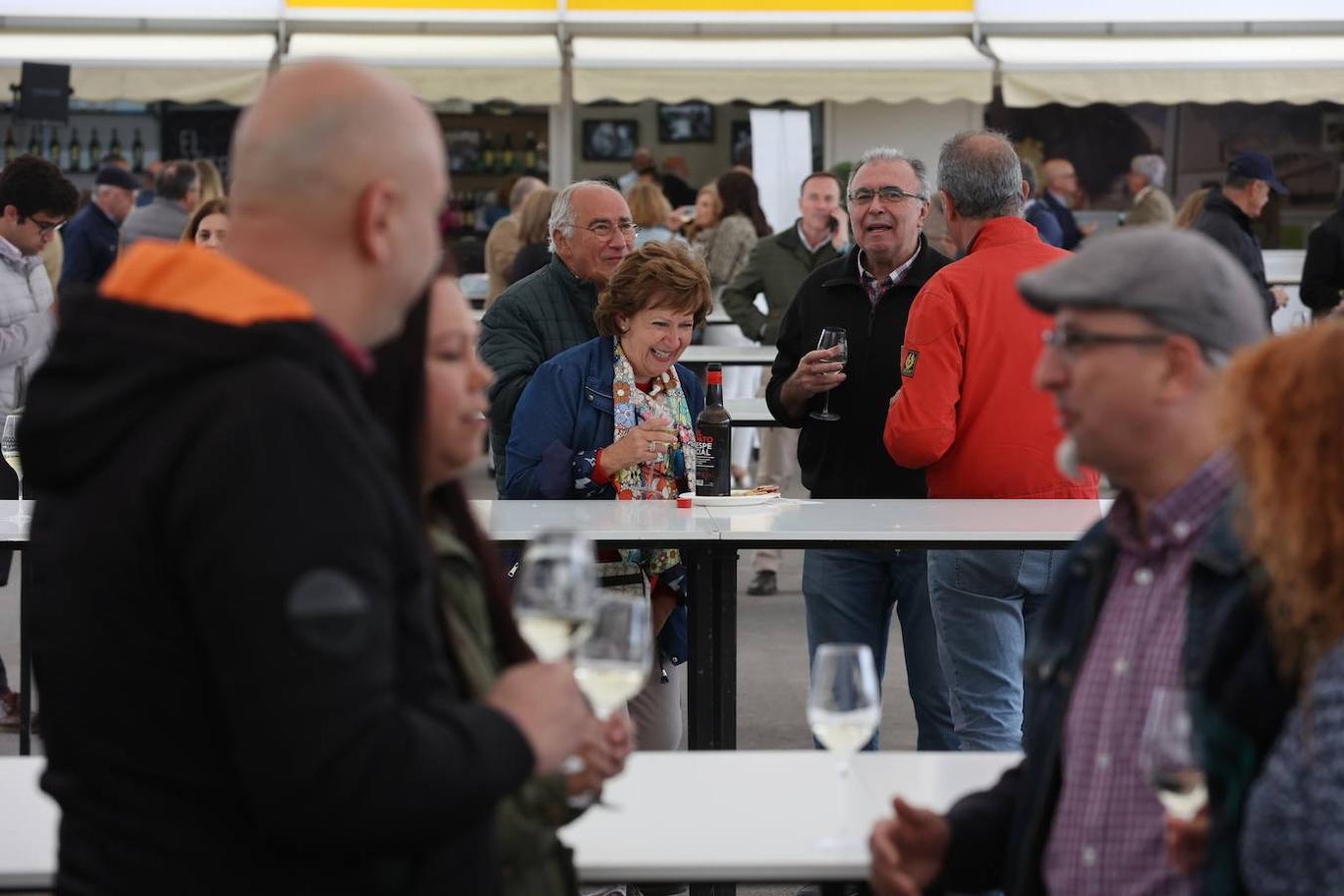 La apertura al público de la Cata del Vino de Córdoba, en imagenes