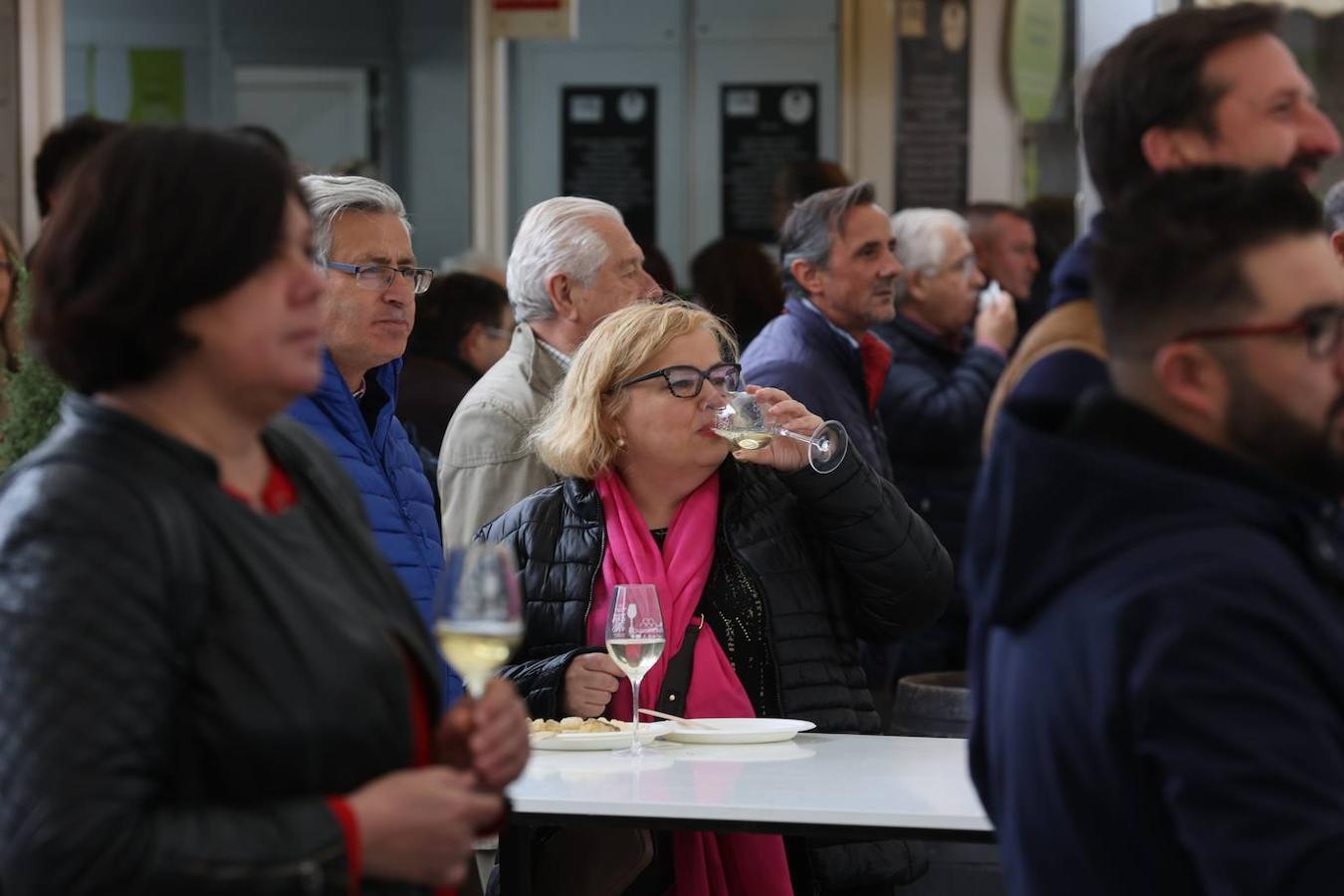 La apertura al público de la Cata del Vino de Córdoba, en imagenes