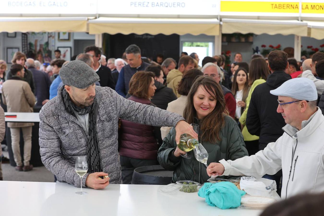 La apertura al público de la Cata del Vino de Córdoba, en imagenes