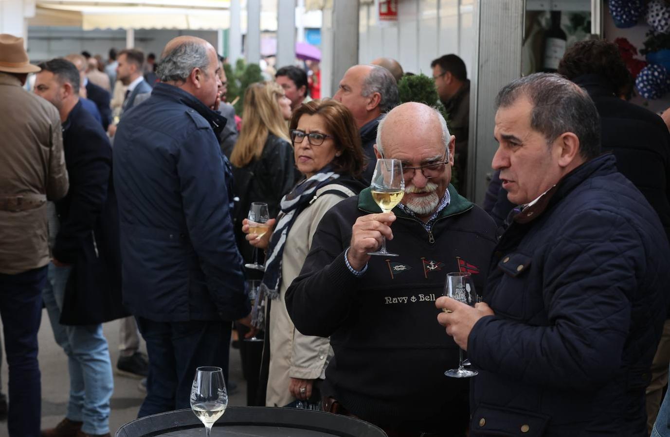 La apertura al público de la Cata del Vino de Córdoba, en imagenes