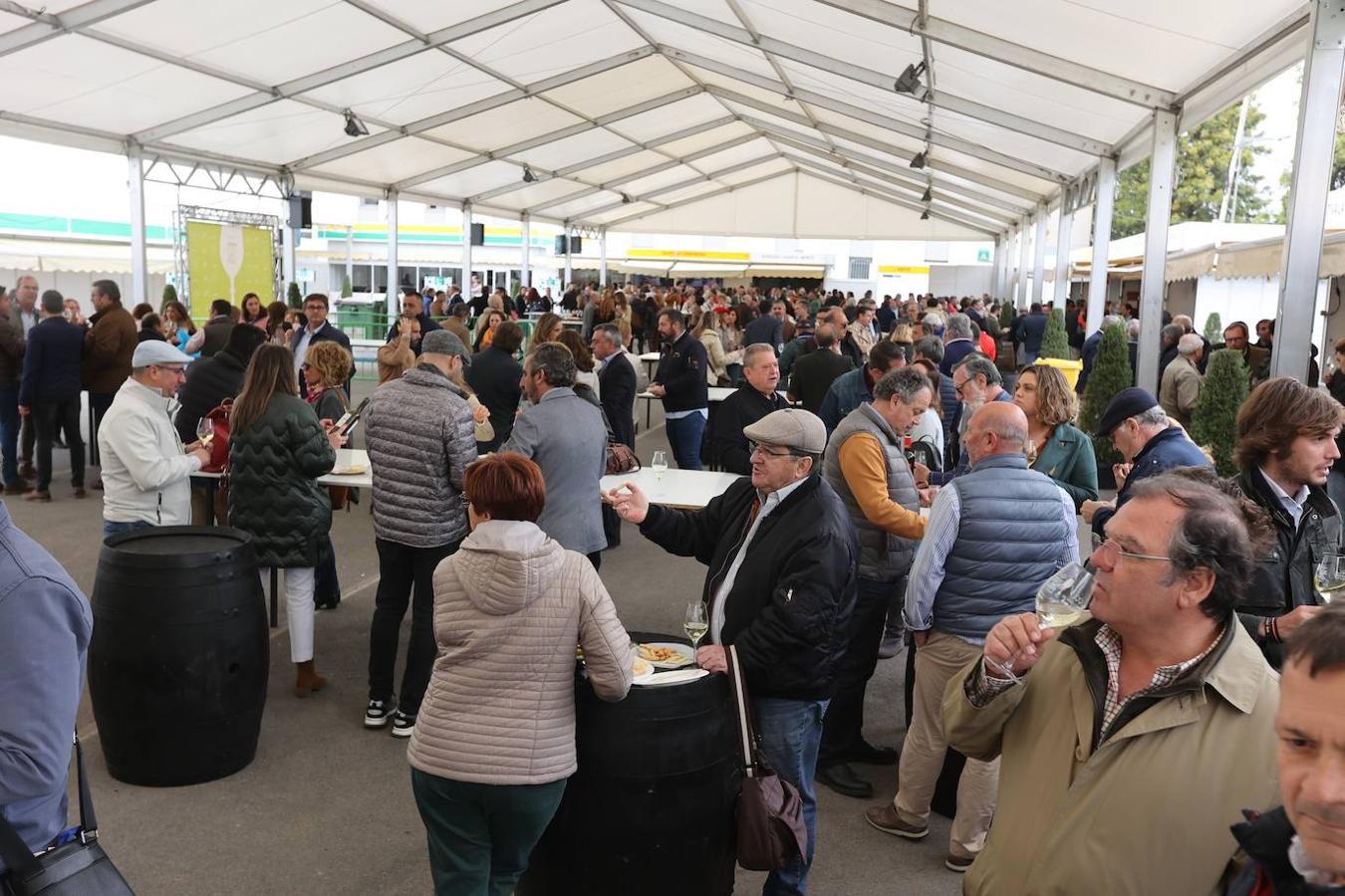 La apertura al público de la Cata del Vino de Córdoba, en imagenes