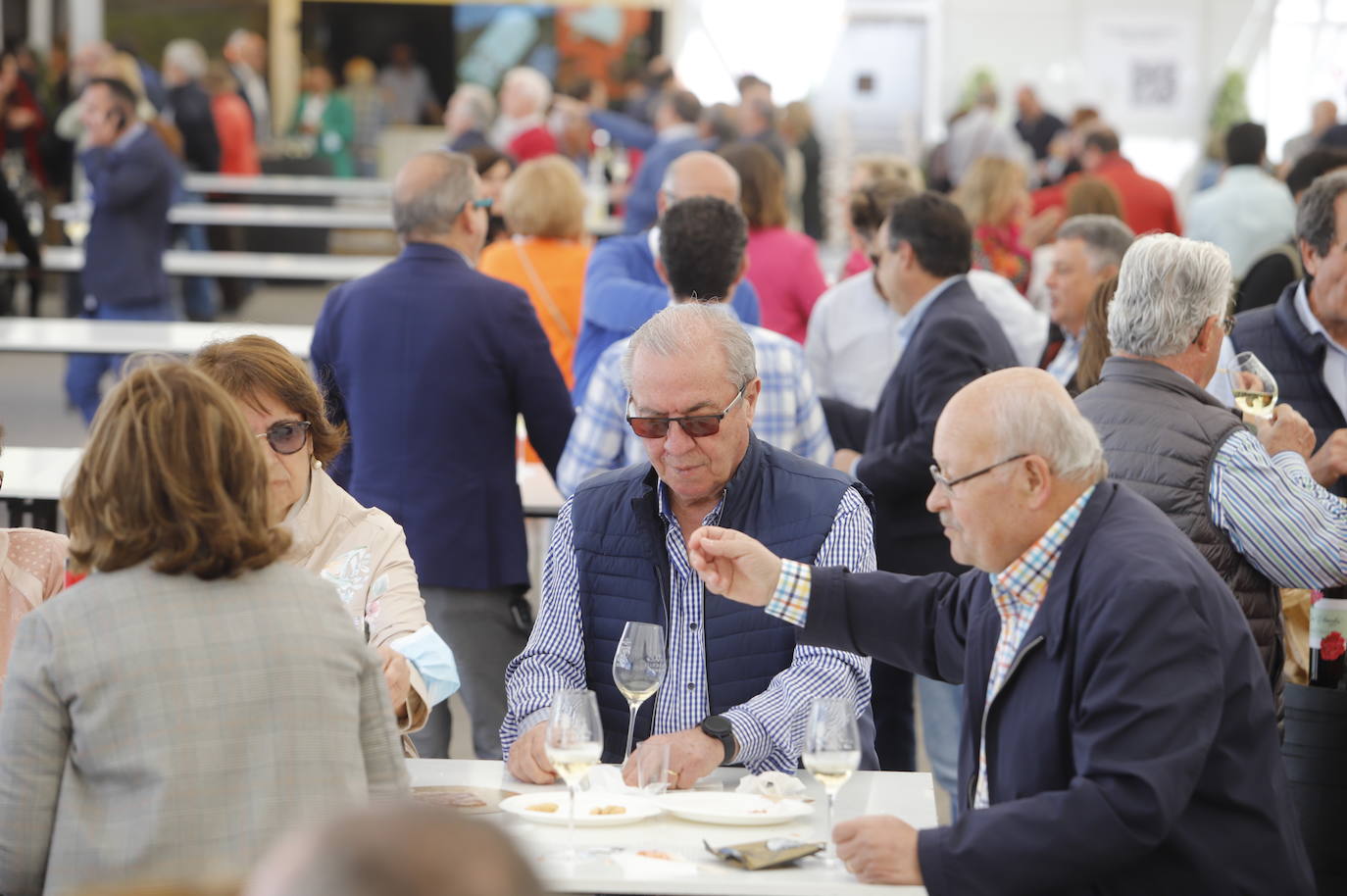 La segunda jornada de la Cata del Vino de Córdoba, en imágenes