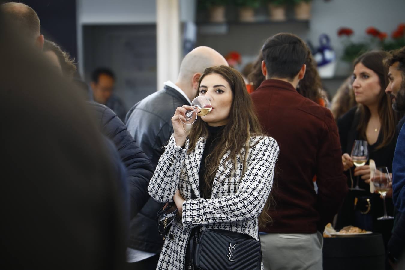 El frío y la lluvia no pueden con la Cata del Vino de Córdoba