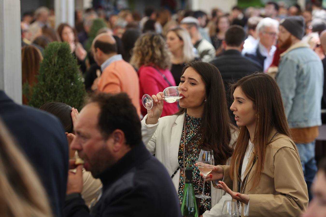 El ambientazo de la Cata del Vino de Córdoba 2022 en su cuarto día, en imágenes