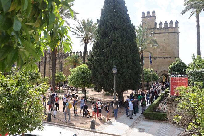 En imágenes, las colas de los turistas extranjeros vuelven a Córdoba