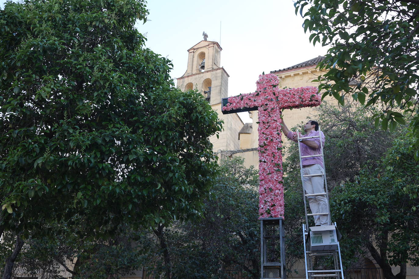 Los preparativos de las Cruces de Mayo en Córdoba, en imágenes