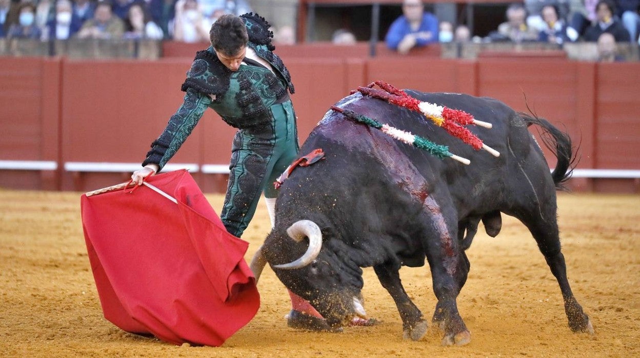 Las imágenes de la corrida de El Fandi, Perera y Luque en Sevilla 2022