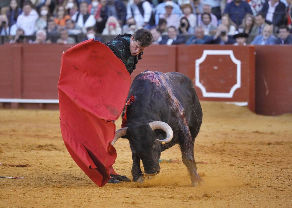 Corrida de toros de El Fandi, Perera y Luque en la plaza de toros de Sevilla en 2022. J.M. SERRANO