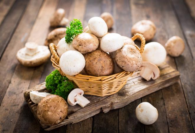 Champiñón. Las setas y champiñones prosperan en la humedad; por eso el mejor momento para consumirlos es el otoño, aunque también se encuentran en temporada el mes de mayo. Algunas variedades se pueden cultivar en casa de manera fácil, mientras que estén en una zona oscura, húmeda y fresca.