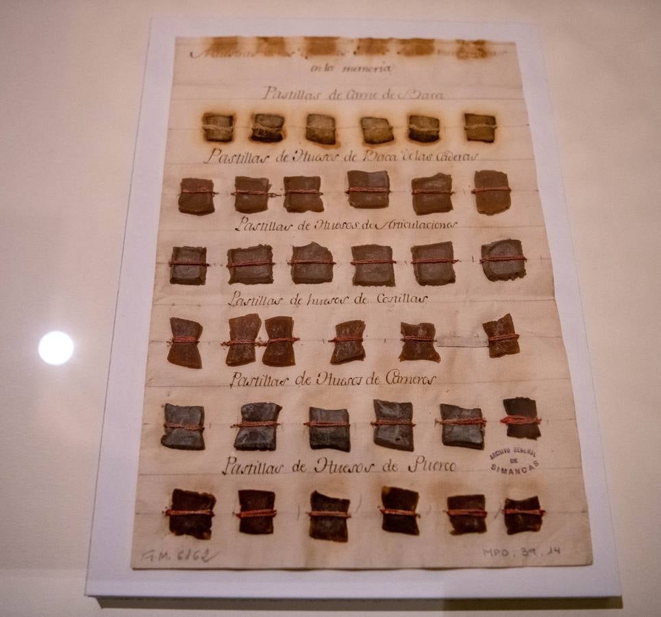 Exposición de documentos sobre grandes descubrimientos en el Archivo de Indias. CRISTINA GÓMEZ