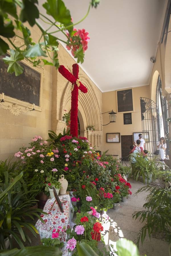 Las Cruces de Mayo premiadas en 2022 en Córdoba, en imágenes