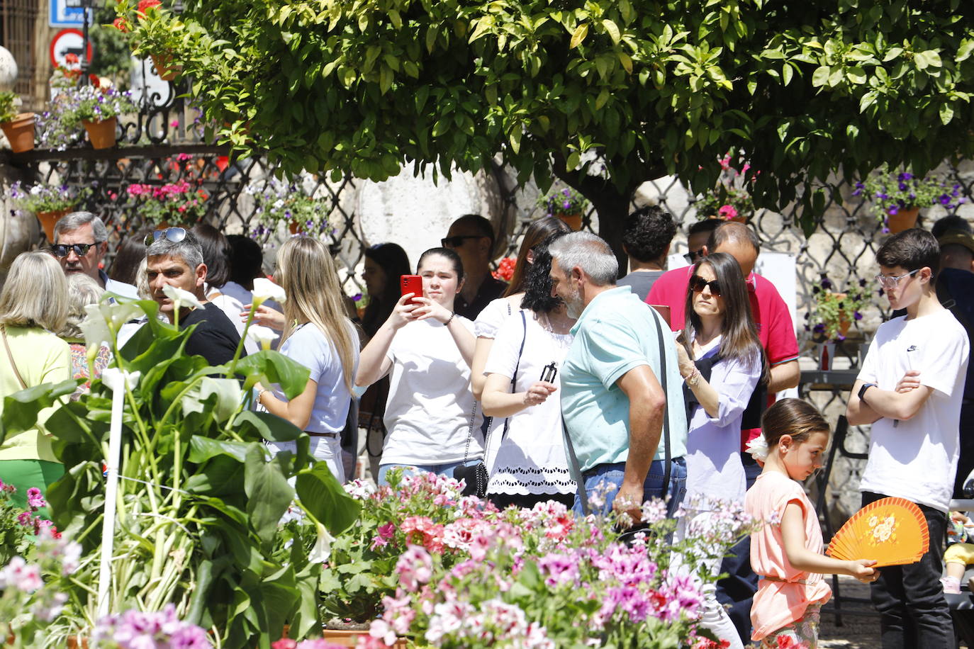 El ambiente turístico en las Cruces de Mayo de Córdoba 2022