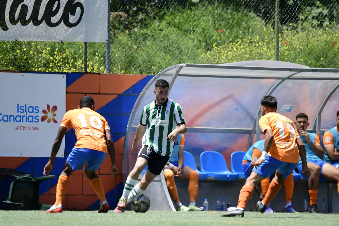 Las brillantes imágenes del Panadería Pulido - Córdoba CF