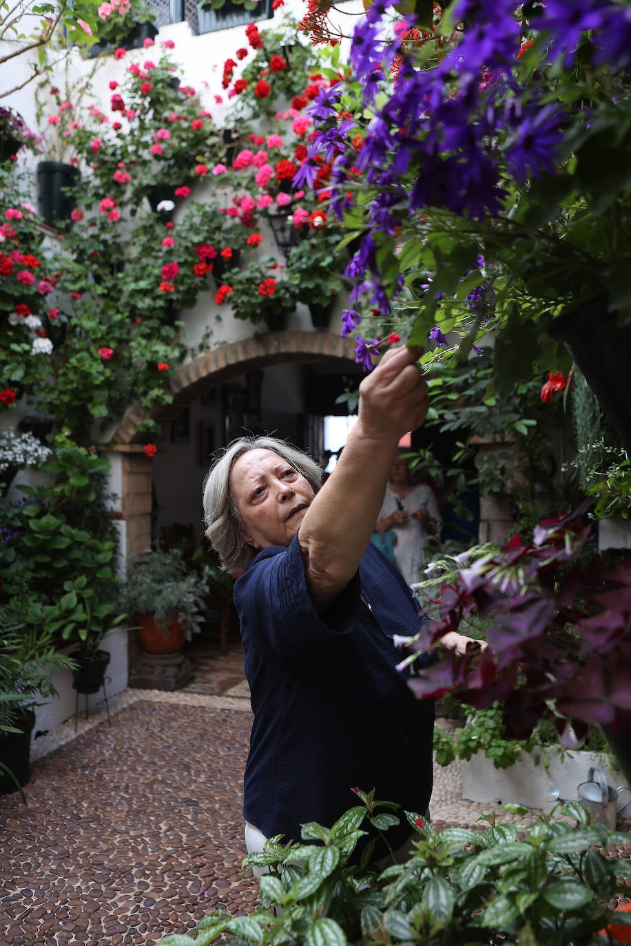 Los preparativos de los Patios de Córdoba, en imágenes