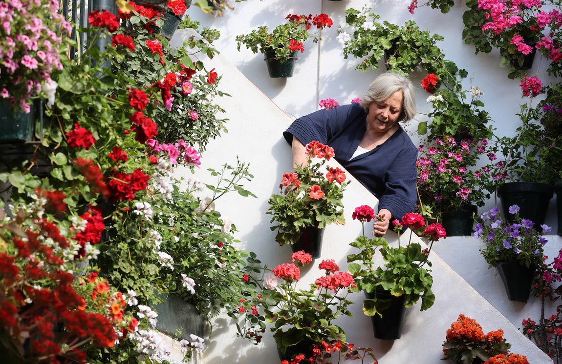 Los preparativos de los Patios de Córdoba, en imágenes