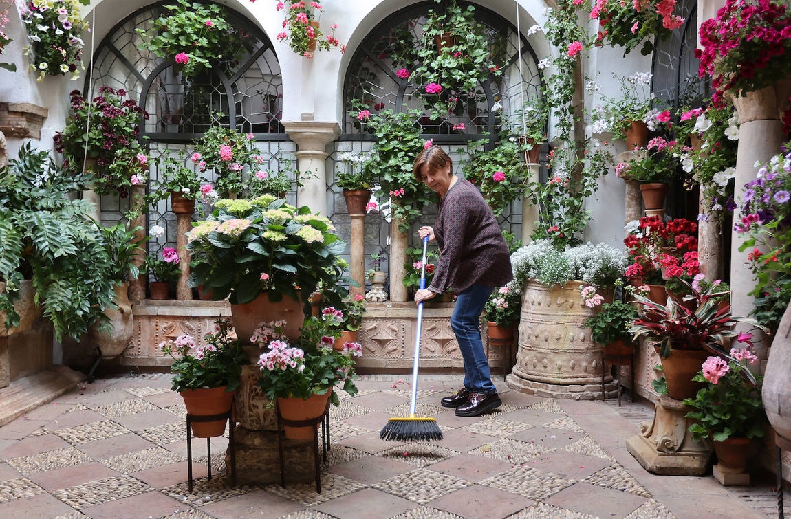 Los preparativos de los Patios de Córdoba, en imágenes