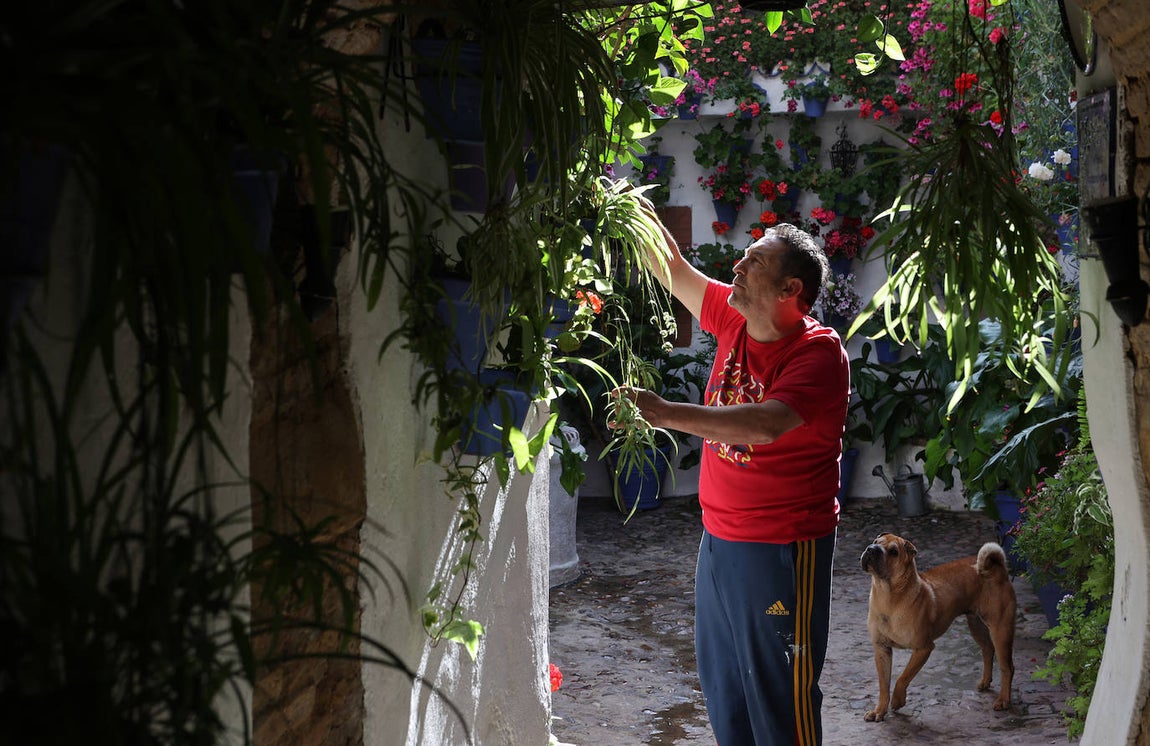 Los preparativos de los Patios de Córdoba, en imágenes