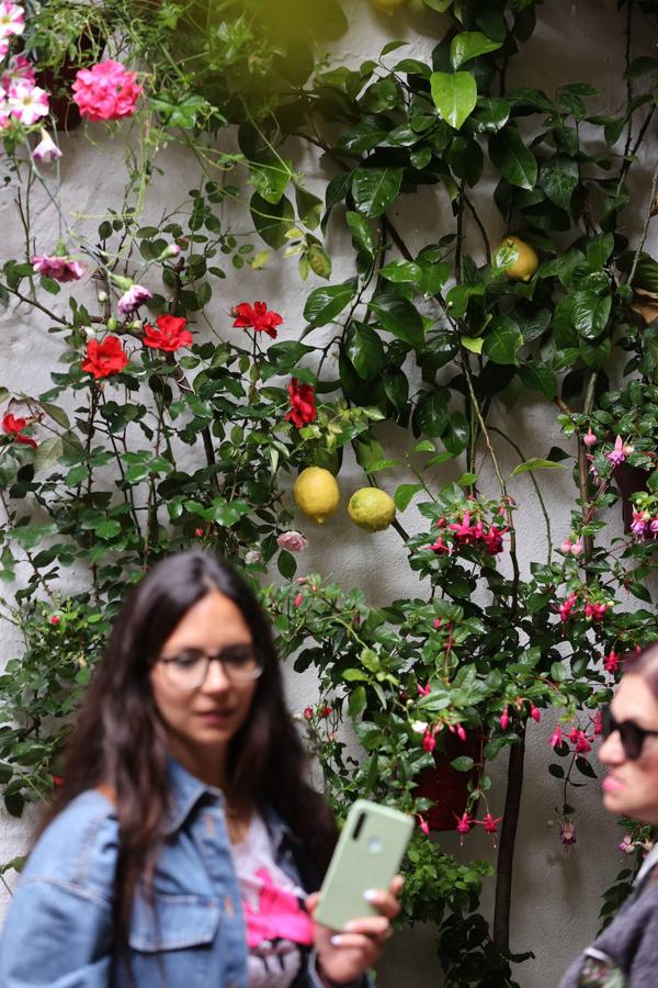 La ruta de San Basilio de los Patios de Córdoba, en imágenes