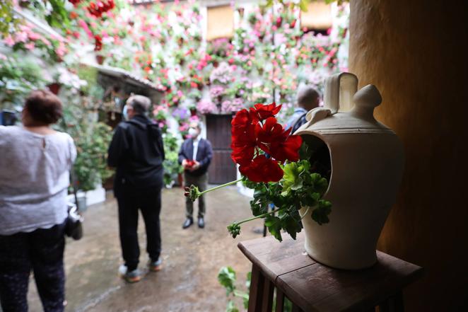 La ruta de San Basilio de los Patios de Córdoba, en imágenes