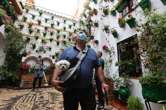 La ruta de San Basilio de los Patios de Córdoba, en imágenes