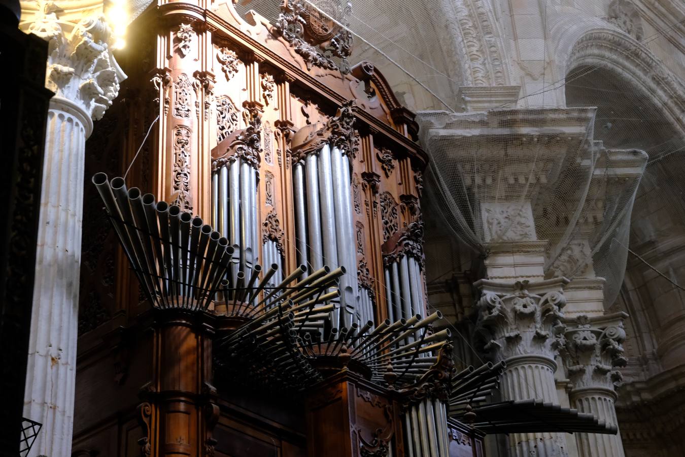 Fotos: Visitas guiadas a la Catedral de Cádiz