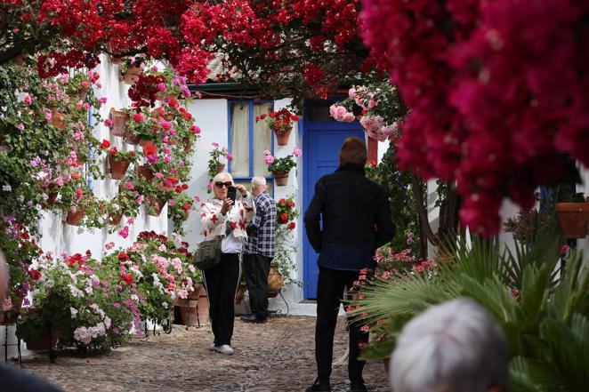 Patios de Córdoba 2022 | La ruta de Santa Marina y San Agustín, en imágenes