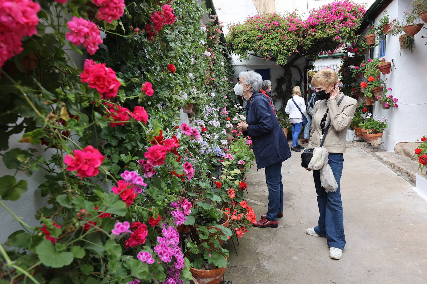 Patios de Córdoba 2022 | La ruta de Santa Marina y San Agustín, en imágenes