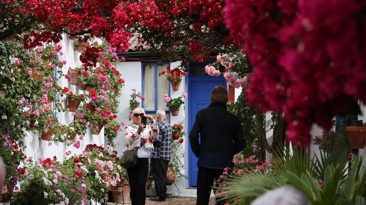 Patios de Córdoba 2022 | La ruta de Santa Marina y San Agustín, en imágenes