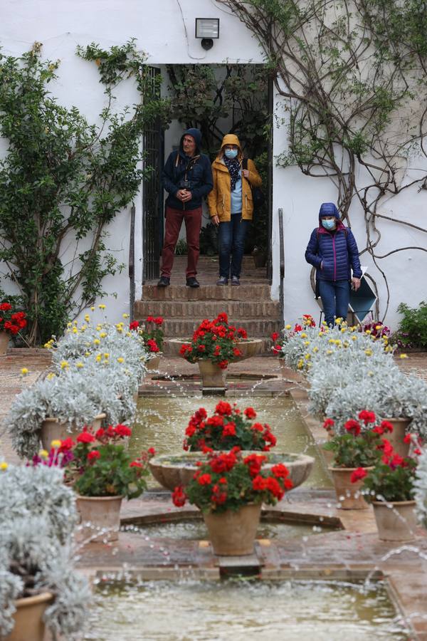 Patios Córdoba 2022 | En imágenes, jornada de puertas abiertas en Viana