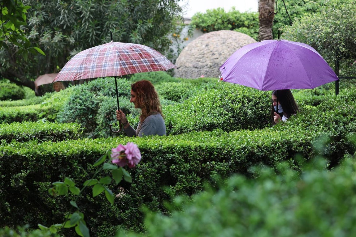 Patios Córdoba 2022 | En imágenes, jornada de puertas abiertas en Viana